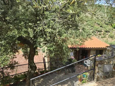 Jardín al aire libre en Las Casitas Del Bodegon