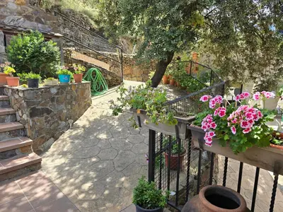 Jardín al aire libre en Las Casitas Del Bodegon