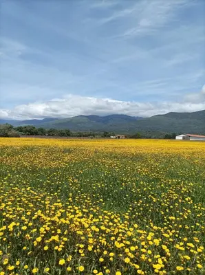 Paisaje cerca de este apartamento