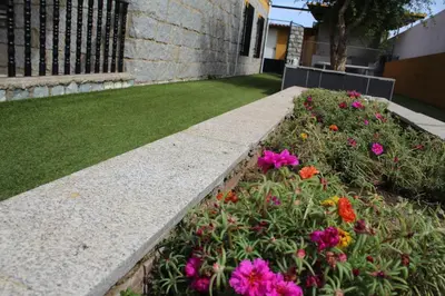 Jardín al aire libre en AT El rincón de Bohonal