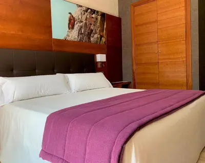 Cama o camas de una habitación en Hotel Balneario Valle del Jerte