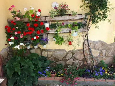 Jardín al aire libre en Casa Rural La Dehesa de Campoviejo
