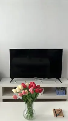 Una televisión o centro de entretenimiento en Estudio zona residencial