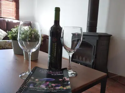 Bebidas en El Huerto de Pipo