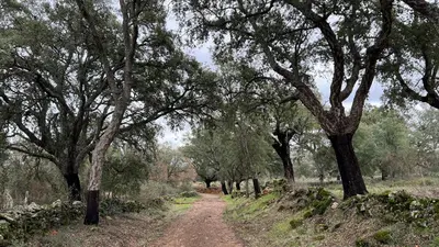 Paisaje cerca de esta casa o chalet