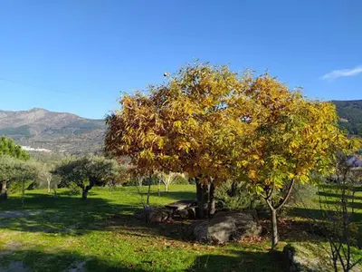 Paisaje cerca de esta casa o chalet