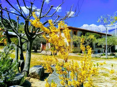 Jardín al aire libre en Casa Riata