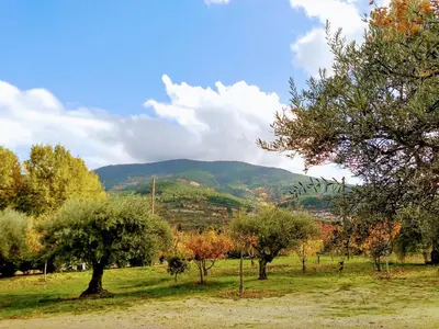 Paisaje cerca de esta casa o chalet