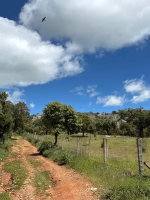 Paisaje cerca de esta casa o chalet
