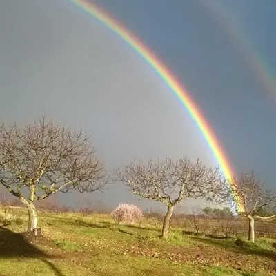Paisaje cerca of this country house