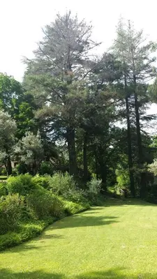 Jardín al aire libre en Rancho La Herradura