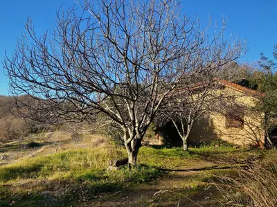 Paisaje cerca de este chalet de montaña