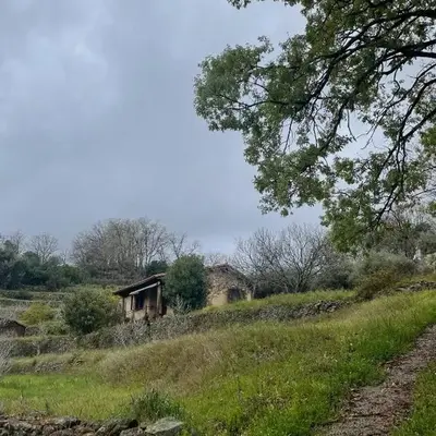 Vergel San Pedro