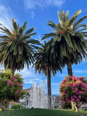 Jardín al aire libre en Casa Los Abuelos
