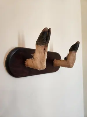 Mascotas con sus dueños en Jayca