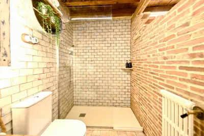Un baño de La Casita de Albino -jacuzzi-chimenea-museo