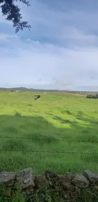 Paisaje cerca de este apartamento