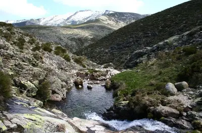 Paisaje cerca de este hostal o pensión
