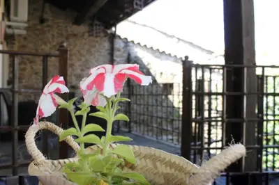 Jardín al aire libre en Las cabachuelas casas rurales