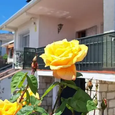 La Tenería Chalet
