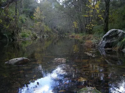 Paisaje cerca de este apartamento