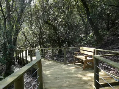 Paisaje cerca de este apartamento