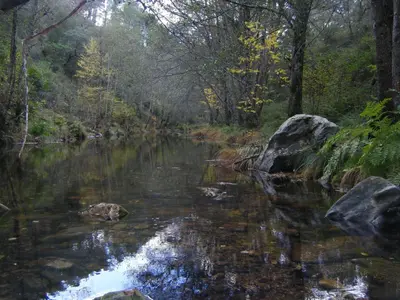 Paisaje cerca de este apartamento