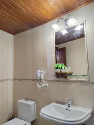 Un baño de Hostal El Rincón del Trillo