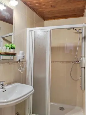 Un baño de Hostal El Rincón del Trillo