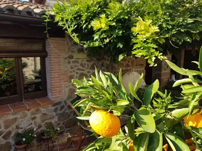 Jardín al aire libre en El Atalanto