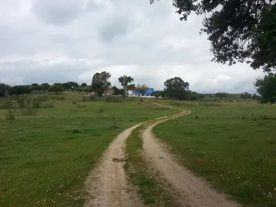Paisaje cerca de esta casa o chalet
