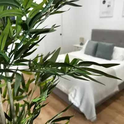 Apartamentos Alimarc Urban