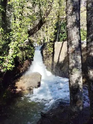 Paisaje cerca de este apartamento