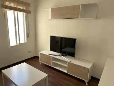 Una televisión o centro de entretenimiento en Apartamento en el centro de Talavera