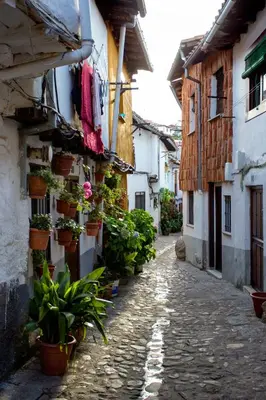 El barrio de los alrededores o un barrio cerca de este hotel