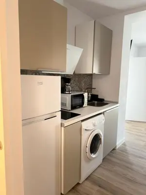 Una cocina o zona de cocina en Apartamentos turisticos AMITIÉ 7 Centro