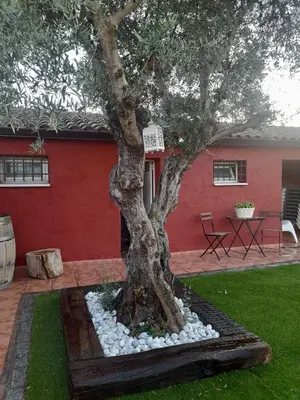Jardín al aire libre en La Mazuela