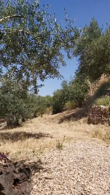 Paisaje cerca de esta casa o chalet