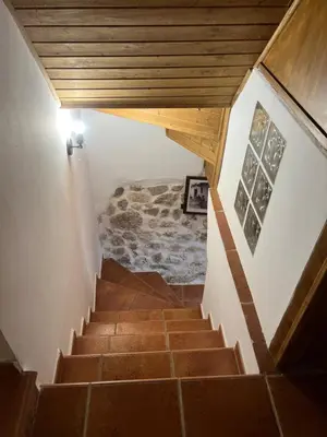 Plano de Casa Feli