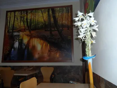 Plano de Hostal Via Del Caminante
