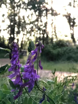 Jardín al aire libre en Casa Candeleda Alojamiento Boutique