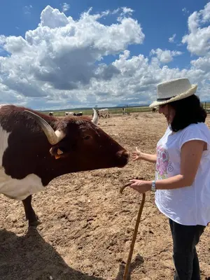 Animales en la casa o chalet o alrededores