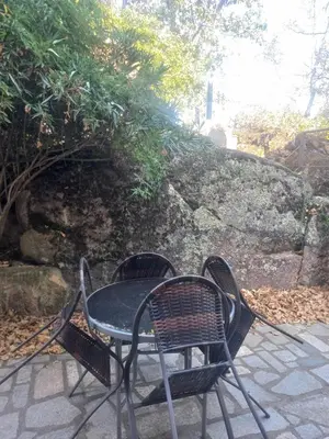 Jardín al aire libre en Casa Abaco