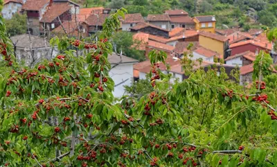 Paisaje cerca of this country house