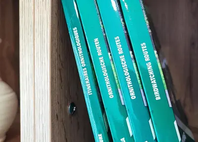 Biblioteca en el apartamento