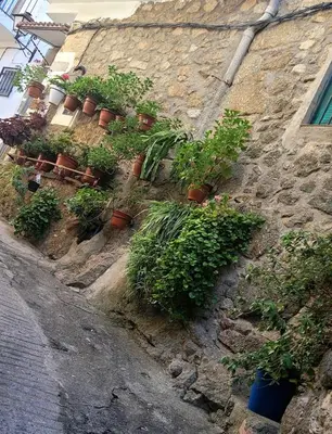 Jardín al aire libre en Gata Maitea- Apartamento Aita- Sierra Gata
