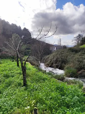 Paisaje cerca de este apartamento