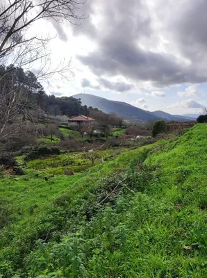 Paisaje cerca de este apartamento