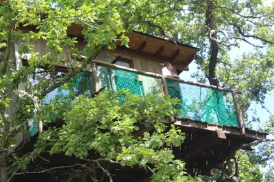 Plano de Cabañas en los Árboles de Extremadura