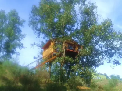 Plano de Cabañas en los Árboles de Extremadura